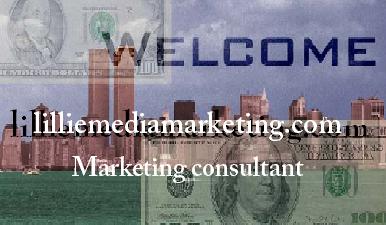 lilliemediamarketing.com